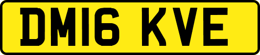 DM16KVE