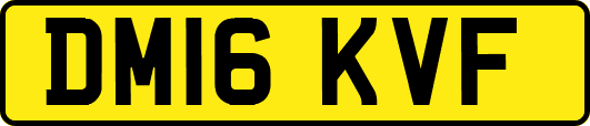 DM16KVF