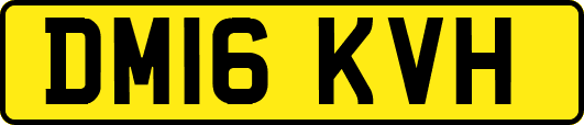 DM16KVH