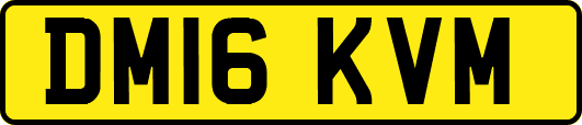 DM16KVM