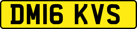DM16KVS