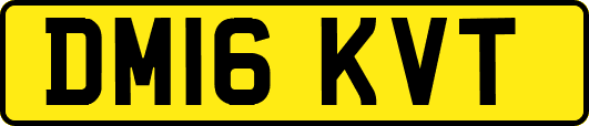 DM16KVT