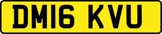 DM16KVU