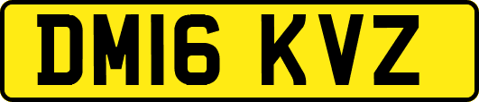 DM16KVZ