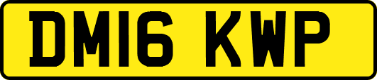 DM16KWP