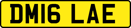 DM16LAE
