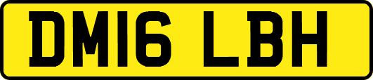 DM16LBH