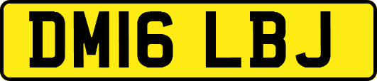 DM16LBJ