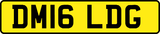 DM16LDG