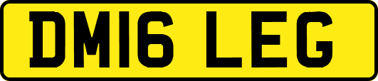 DM16LEG