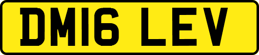 DM16LEV