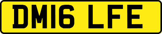 DM16LFE