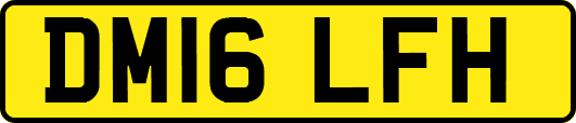 DM16LFH