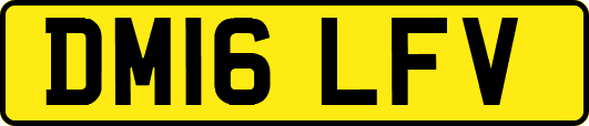 DM16LFV