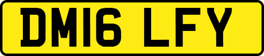 DM16LFY