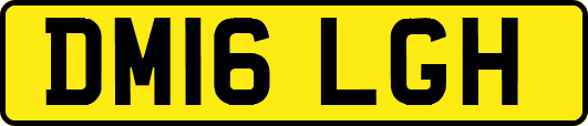DM16LGH