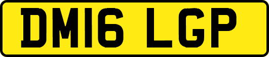DM16LGP