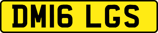 DM16LGS