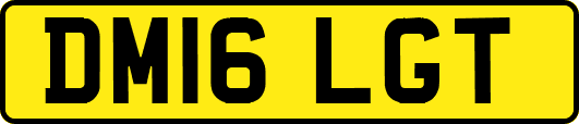 DM16LGT