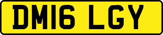 DM16LGY