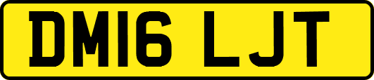DM16LJT