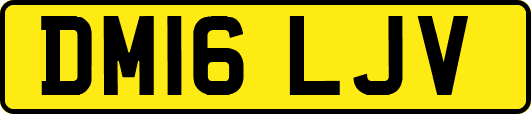 DM16LJV