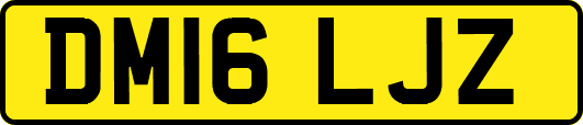 DM16LJZ