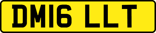 DM16LLT