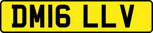 DM16LLV