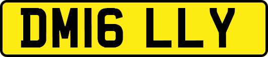 DM16LLY