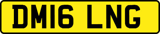 DM16LNG
