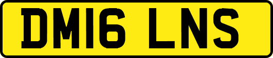 DM16LNS