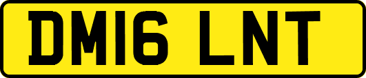 DM16LNT