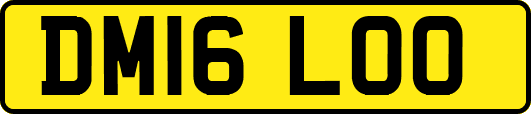 DM16LOO