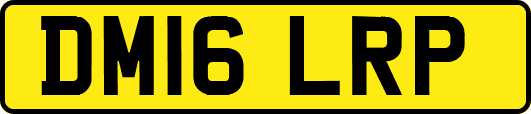 DM16LRP