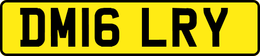 DM16LRY