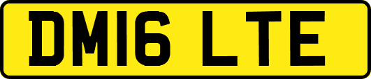 DM16LTE