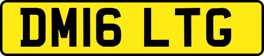 DM16LTG