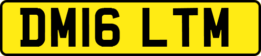 DM16LTM