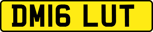 DM16LUT