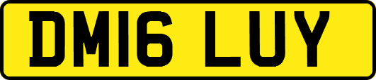 DM16LUY