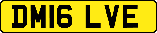 DM16LVE