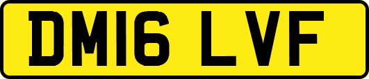 DM16LVF
