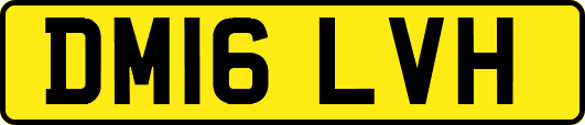 DM16LVH