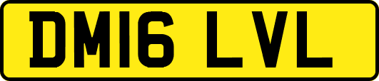 DM16LVL