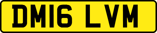 DM16LVM