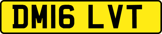 DM16LVT