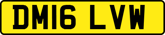 DM16LVW