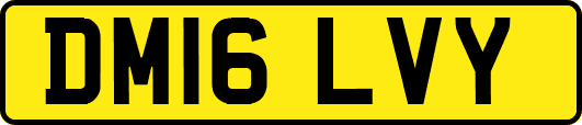 DM16LVY