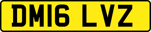 DM16LVZ